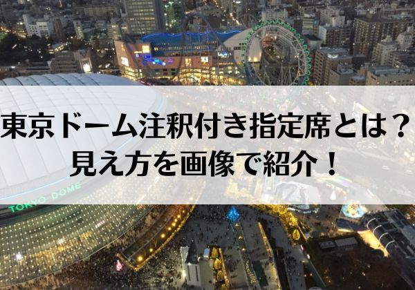 東京ドーム注釈付き指定席とは？見え方を画像で紹介！